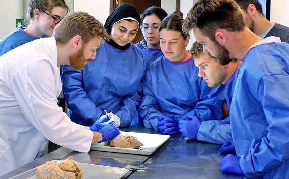 cadaver images