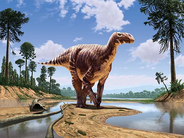 Iguanodon