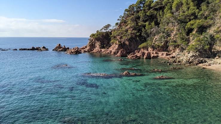 Formigues Islas