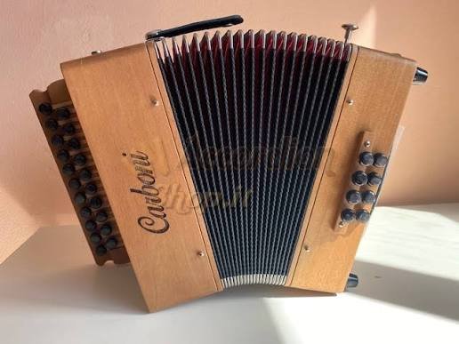 Diatonic Button Accordion