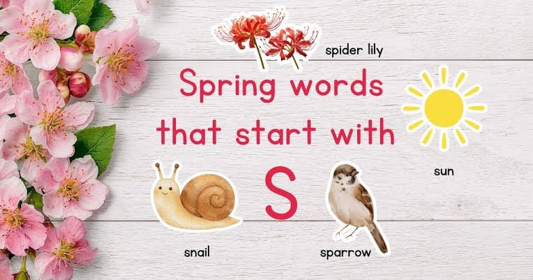 Words That Start With S